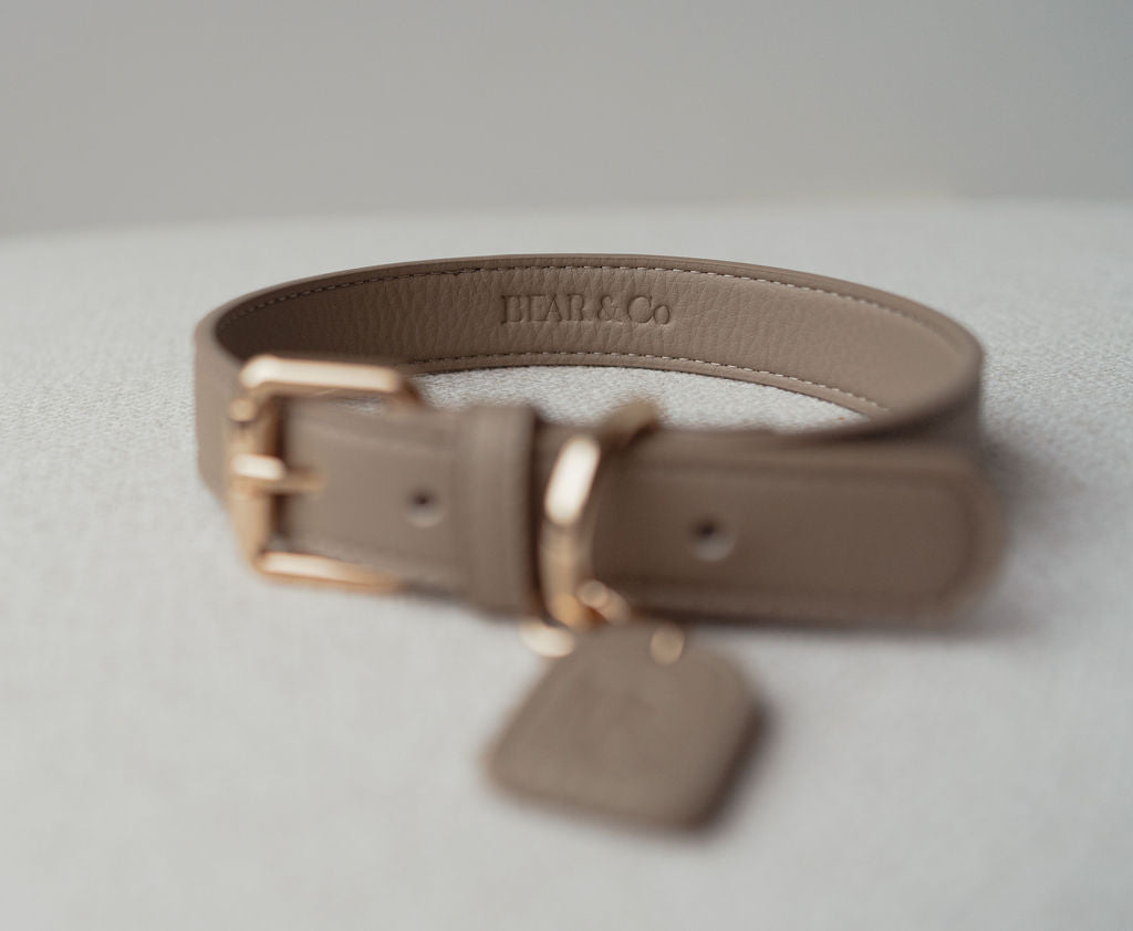 Collar - Mocha