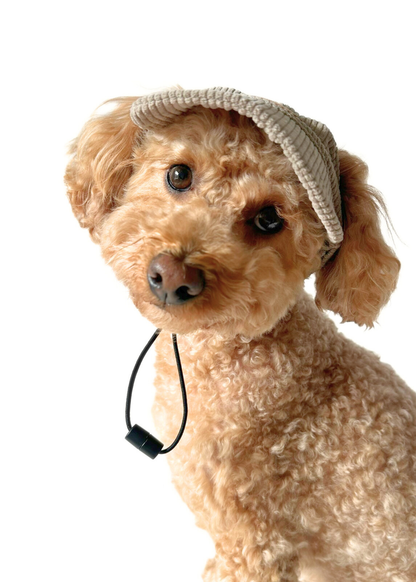 Dog Cap - Beige