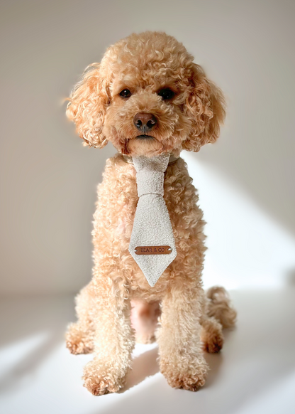 Pet Tie - Boucle