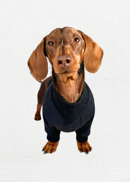 Knitted Pullover - Onyx