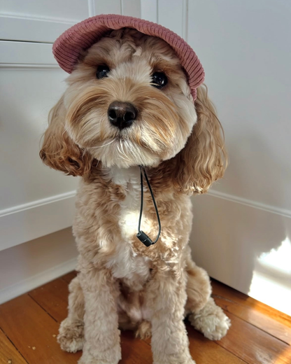 Corduroy Dog Cap – Pink