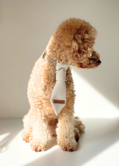 Pet Tie - Boucle