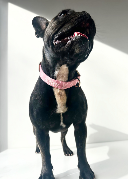 Bespoke Dog Collar