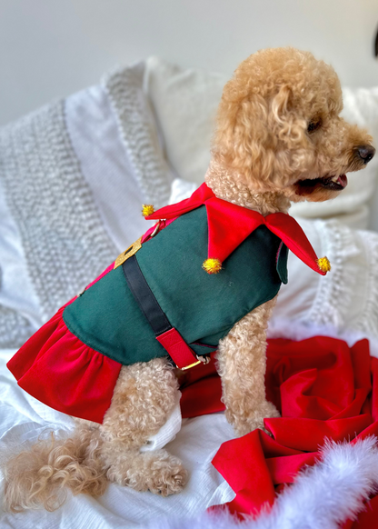 Bespoke Christmas Elf Harness