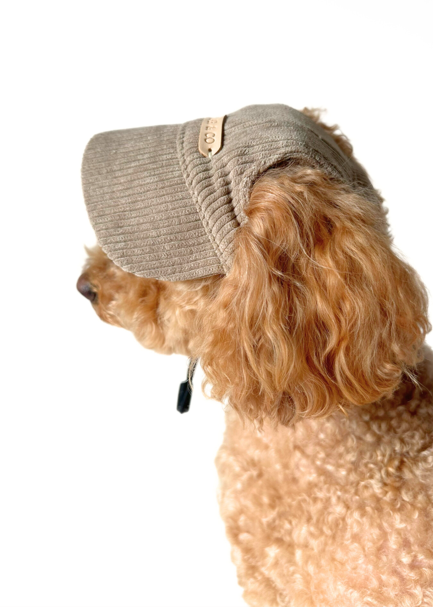 Dog Cap - Beige