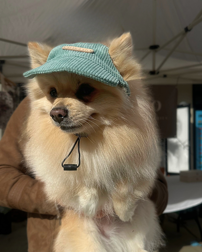 Corduroy Dog Cap – Green