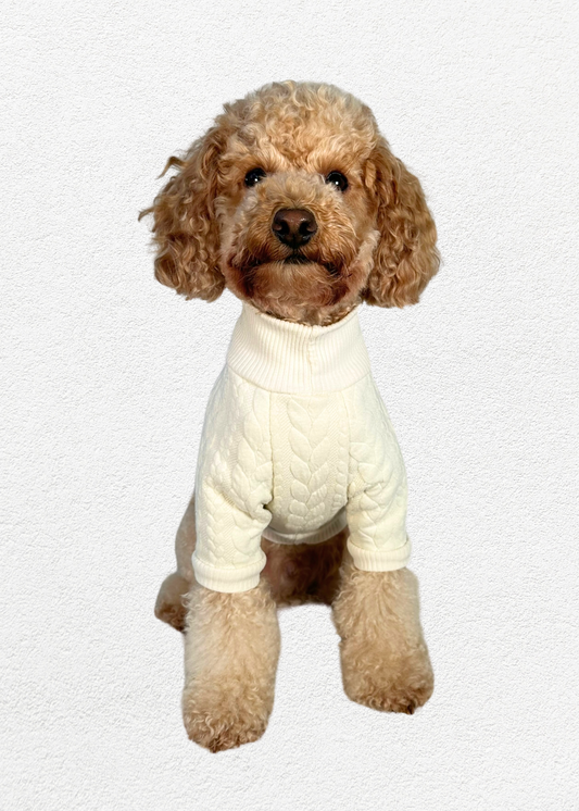 Knitted Pullover - Ivory