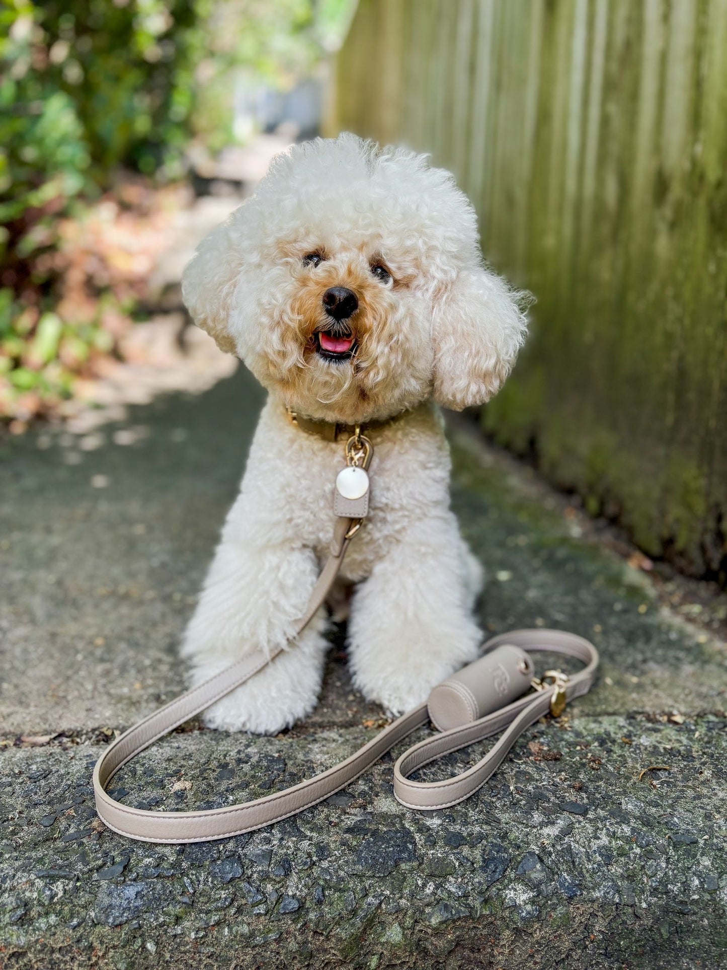 Premium Walk Set - Mocha