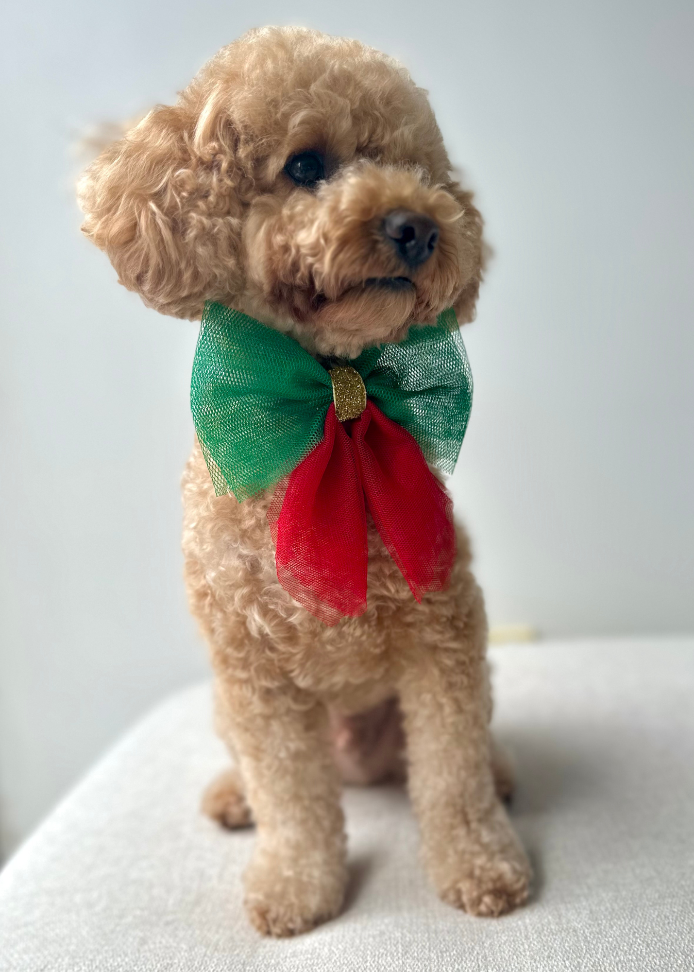 Christmas Sailor Bows