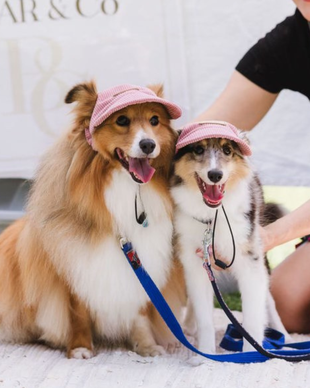 Corduroy Dog Cap – Pink