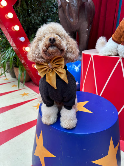 Bow - Plush Gold Velvet