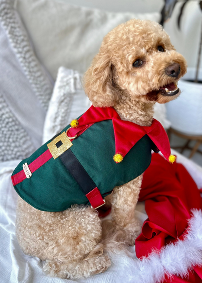 Bespoke Christmas Elf Harness