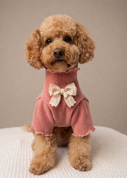Renaissance Jumper  (Vintage Rose)