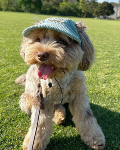 Corduroy Dog Cap – Green