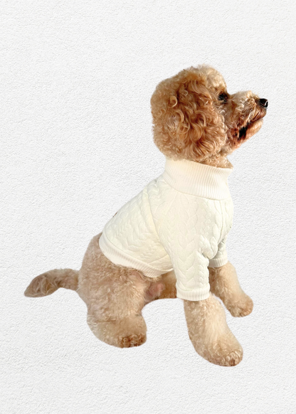 Knitted Pullover - Ivory