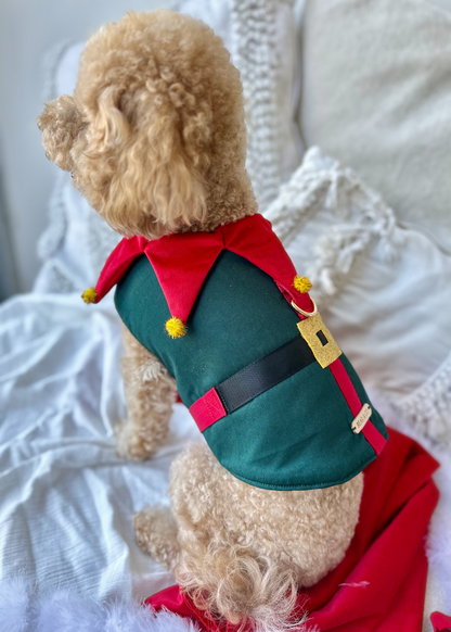 Bespoke Christmas Elf Harness