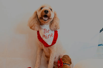 Valentine's Bandana