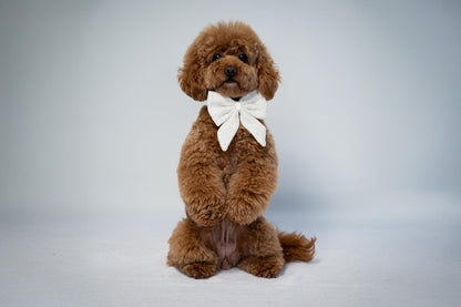 Sailor Bow - White Tweed