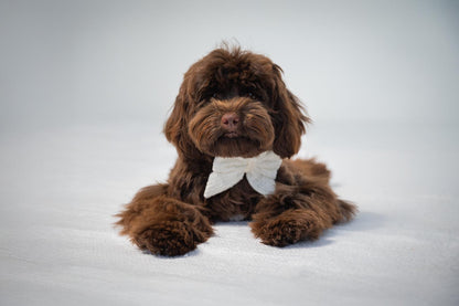 Sailor Bow - White Tweed