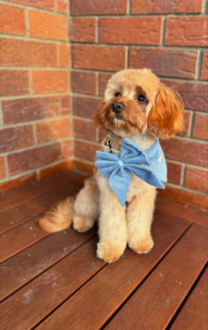 Bandana & Bow - Bluebell