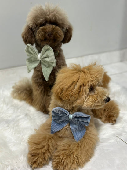 Bow - Bluebell