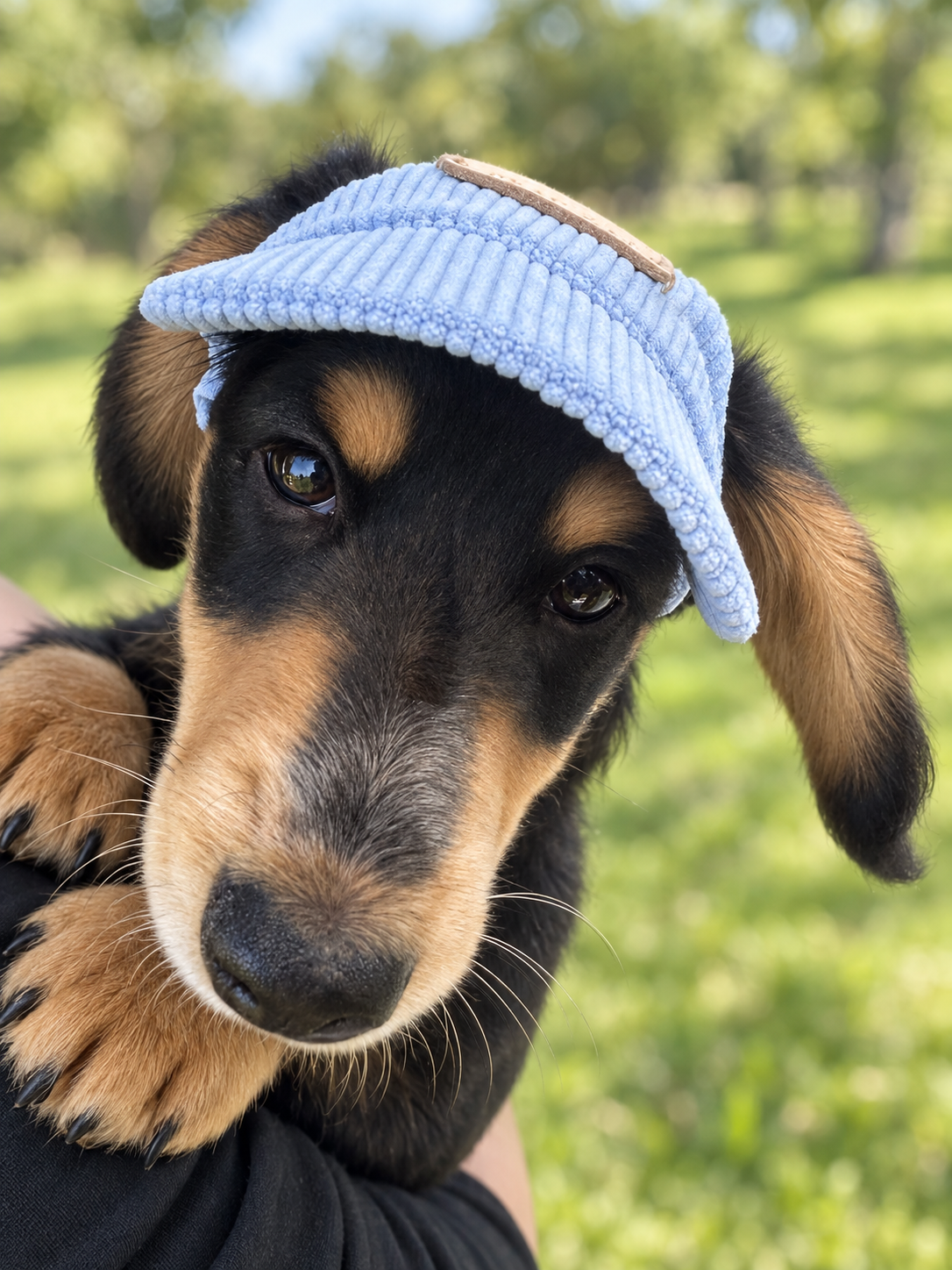 Corduroy Dog Cap – Blue