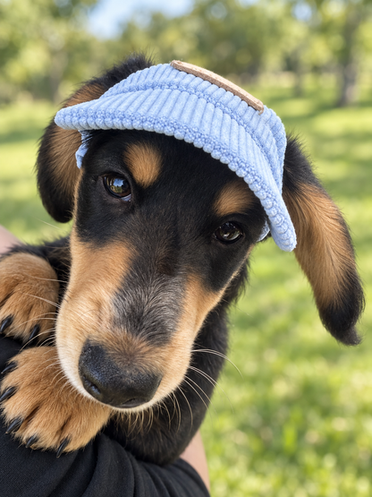 Corduroy Dog Cap – Blue