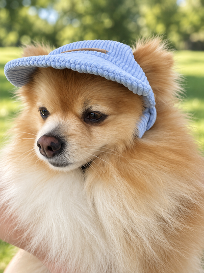 Corduroy Dog Cap – Blue