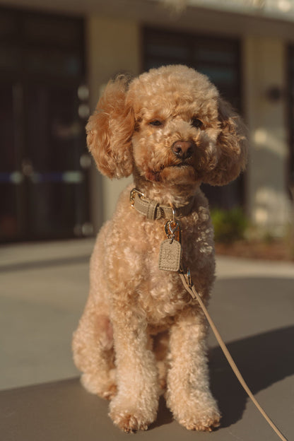 Full Walk Set  (Mocha)