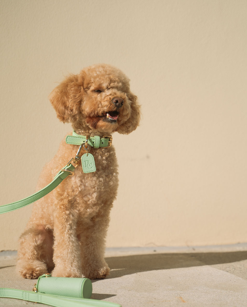 Full Walk Set (Matcha)