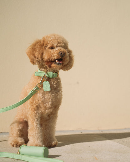 Full Walk Set (Matcha)