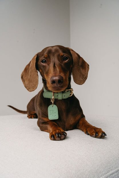 Full Walk Set (Matcha)