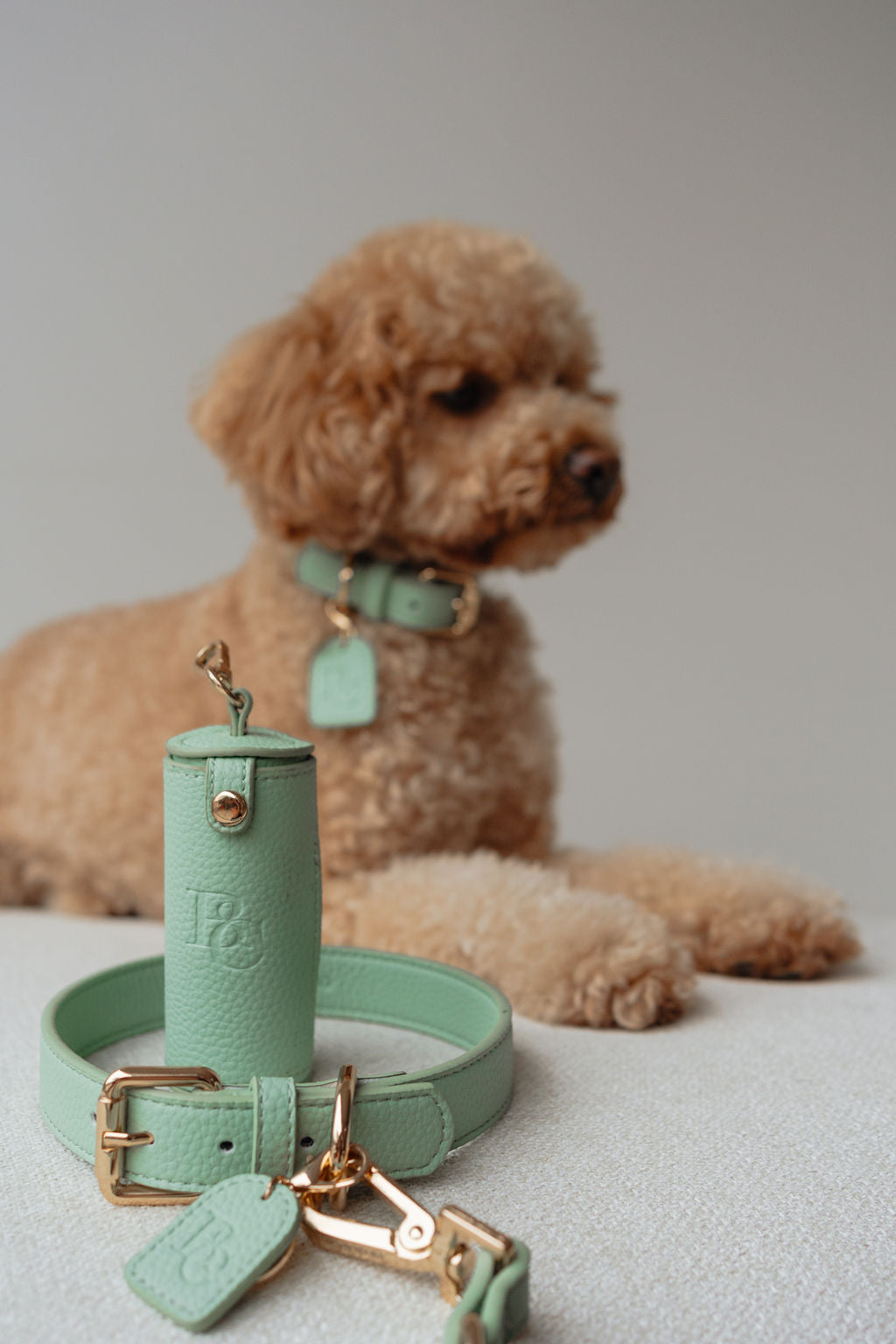 Full Walk Set (Matcha)