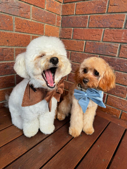 Bandana & Bow - Bluebell