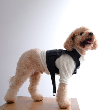 Bespoke Pet Waistcoat