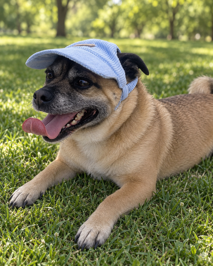 Corduroy Dog Cap – Blue