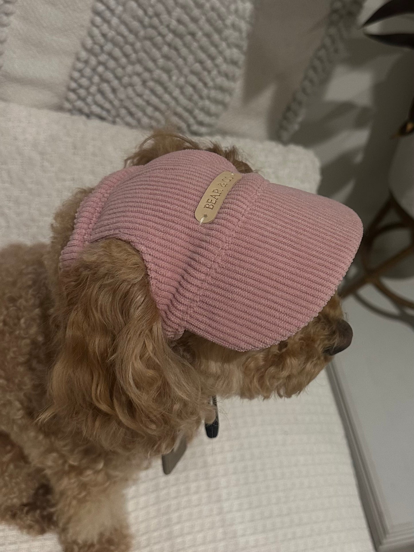 Dog Cap - Light Pink