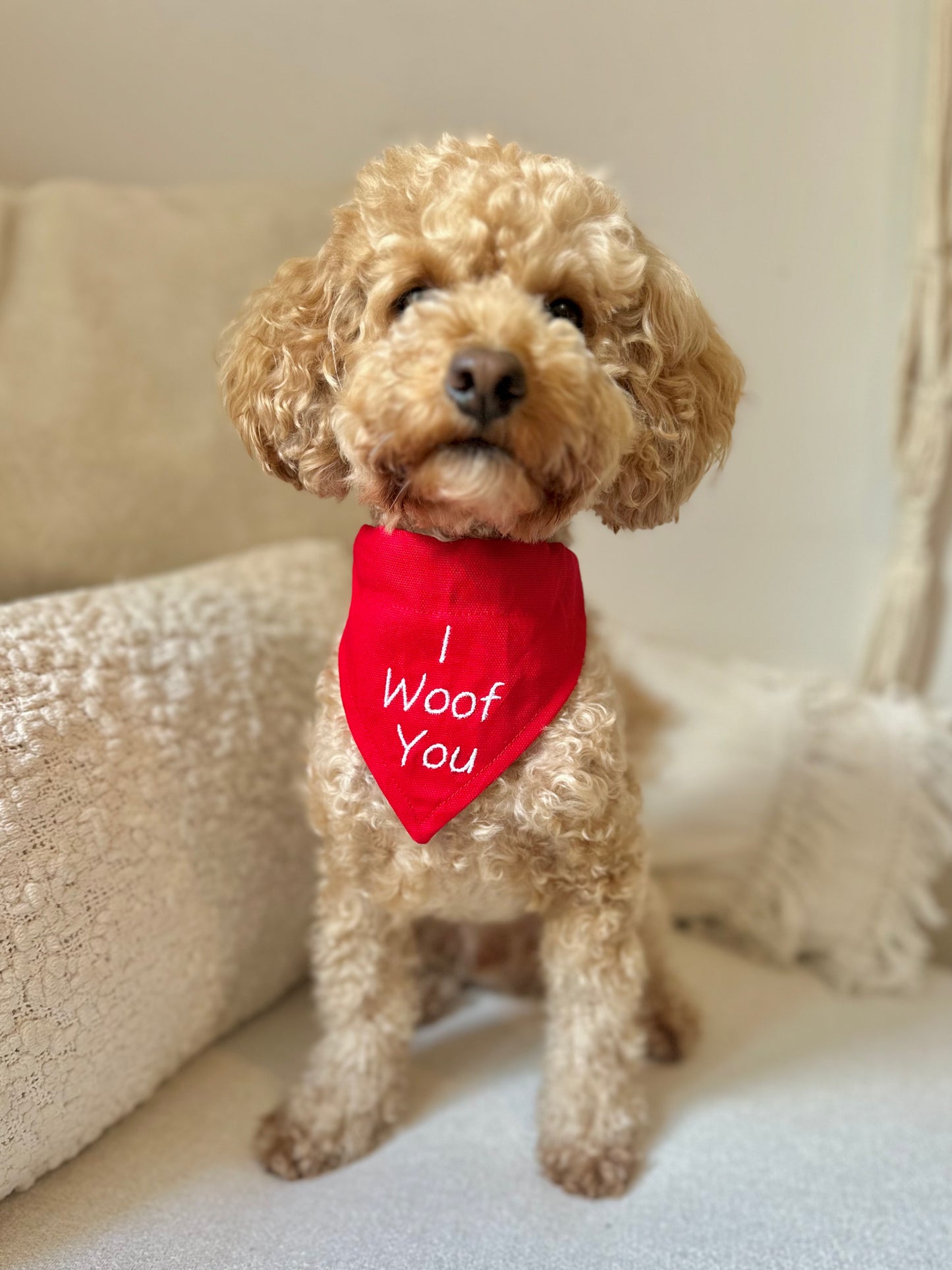 'I Woof You' Bandana