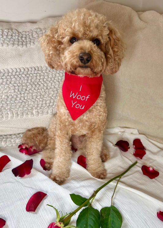 'I Woof You' Bandana