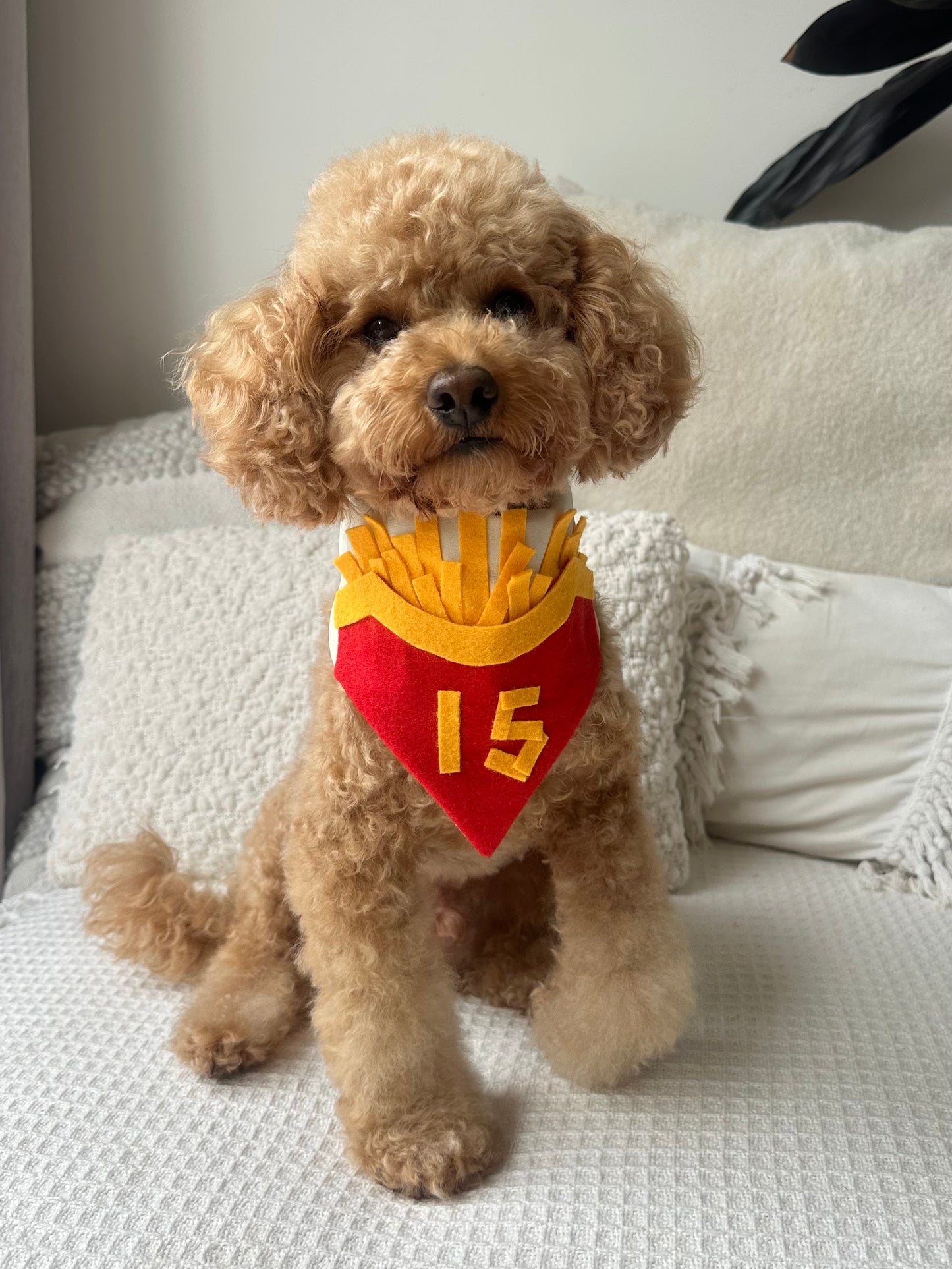Mcdonalds Chips - Birthday Bandana