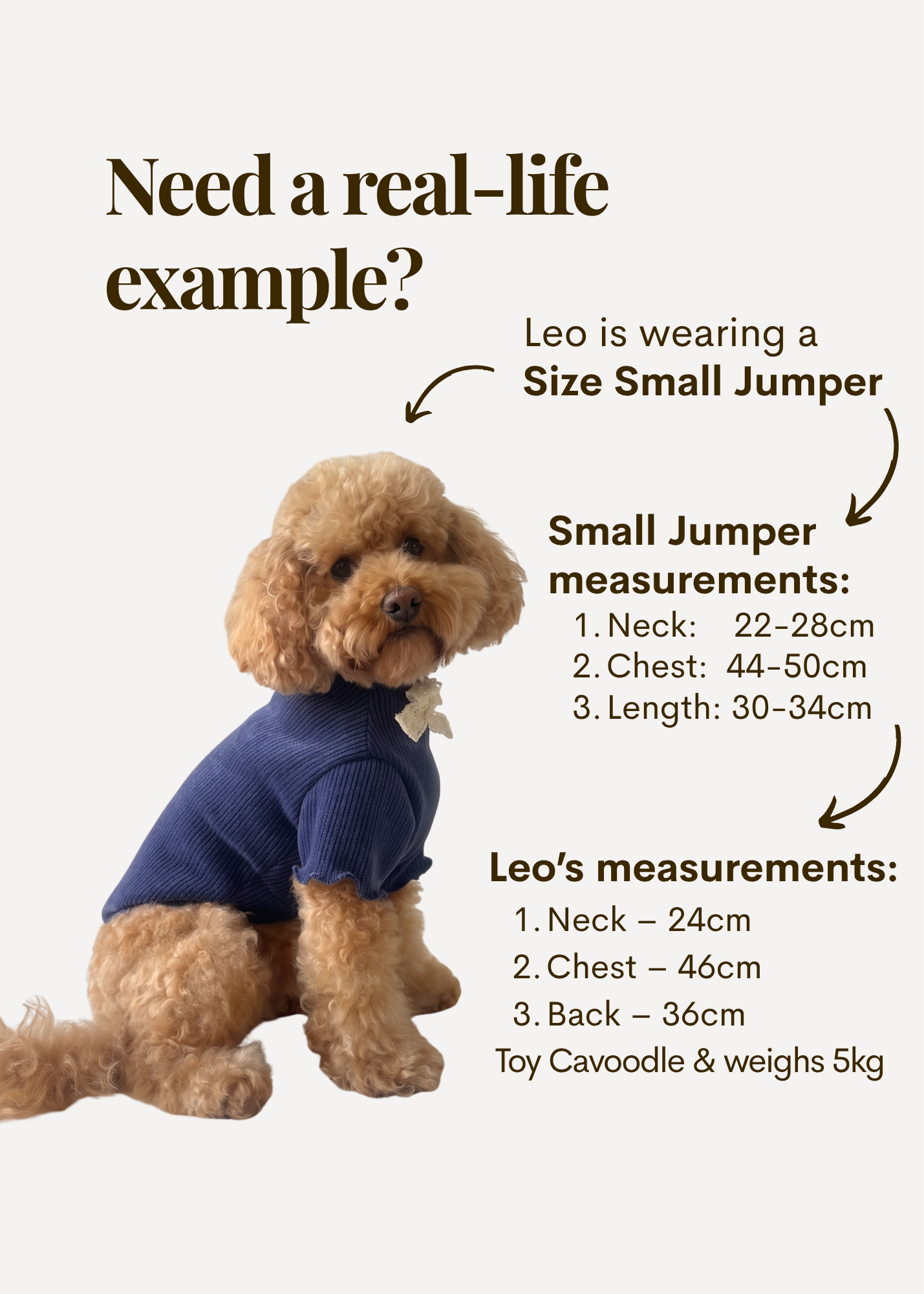 Renaissance Jumper (Royal Blue)