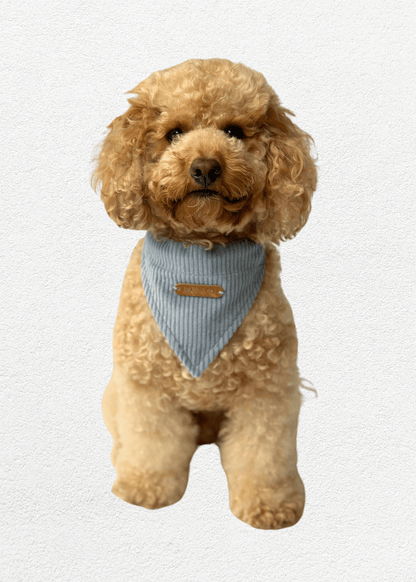 Bluebell Pet Bandana - Bear & CoBluebell Pet Bandanapet accessoriesBear & CoBear & Co