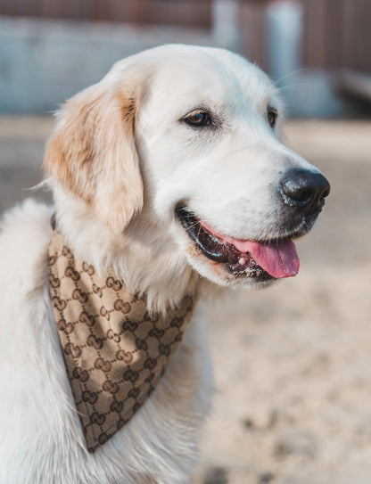Luxury Pet Bandana - Bear & CoLuxury Pet BandanaBear & CoBear & Co