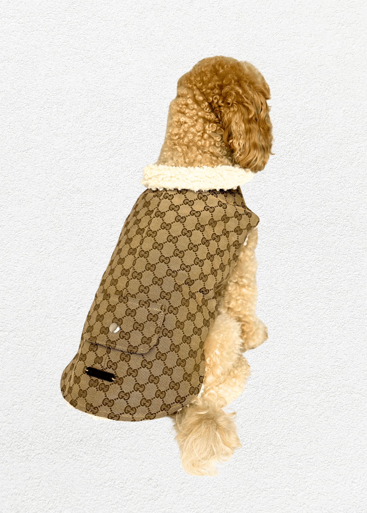Luxury Pet Jacket - Bear & CoLuxury Pet Jacketpet accessoriesBear & CoBear & Co