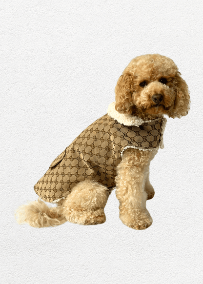 Luxury Pet Jacket - Bear & CoLuxury Pet Jacketpet accessoriesBear & CoBear & Co