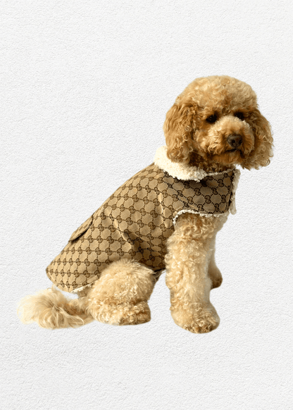 Luxury Pet Jacket - Bear & CoLuxury Pet Jacketpet accessoriesBear & CoBear & Co
