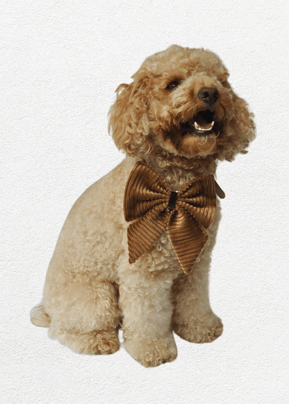 Mahogany Full Set - Bear & CoMahogany Full Setpet accessoriesBear & CoBear & Co