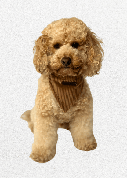 Mahogany Pet Bandana - Bear & CoMahogany Pet Bandanapet accessoriesBear & CoBear & Co