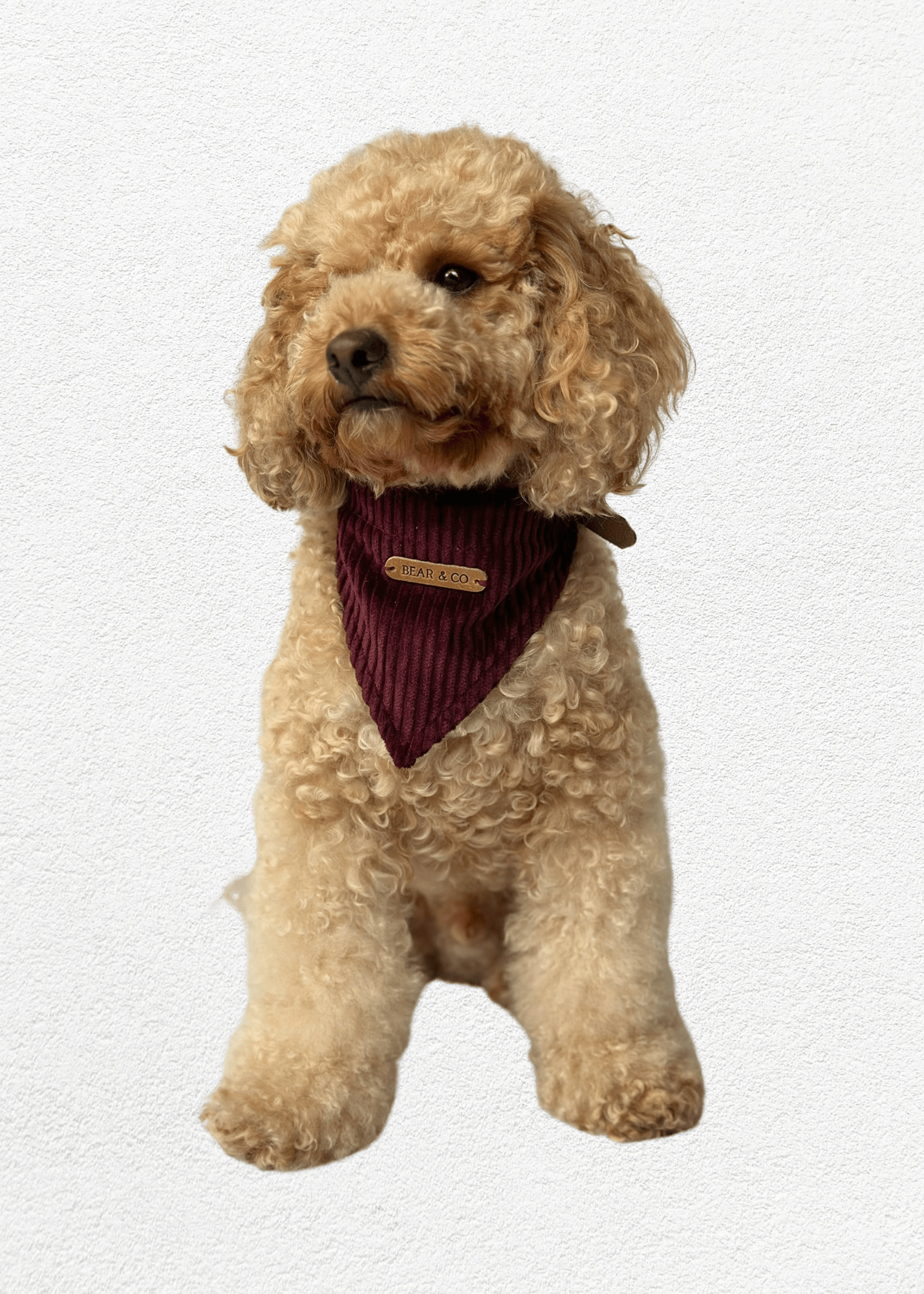 Mulberry Pet Bandana - Bear & CoMulberry Pet Bandanapet accessoriesBear & CoBear & Co
