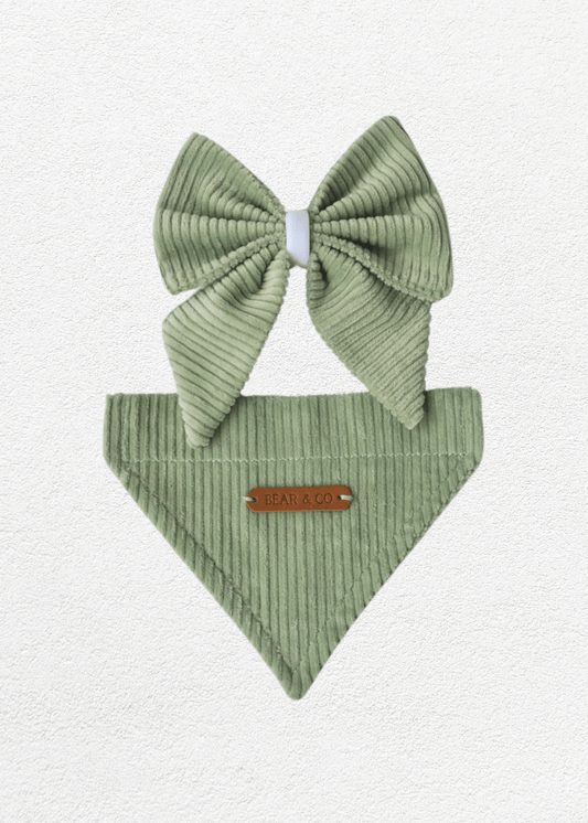 Sage Full Set - Bear & CoSage Full Setpet accessoriesBear & CoBear & Co